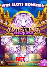 Security Systems Bet04